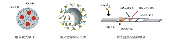 伏馬毒素熒光定量快速檢測系統(tǒng) 伏馬毒素熒光定量快速檢測系統(tǒng)